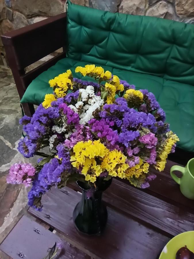 Котедж "Солард" ياريمتشي المظهر الخارجي الصورة